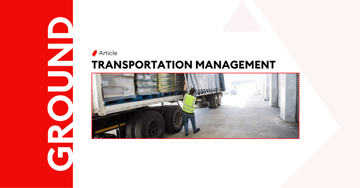 How does Transportation Management in Distribution add value?