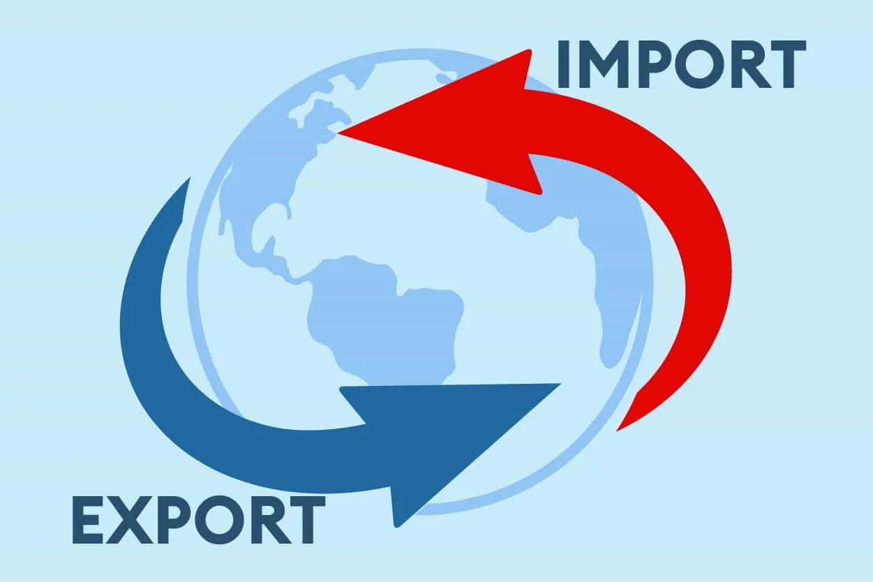 Customs-Declaration-Filing-Import-Export-declaration