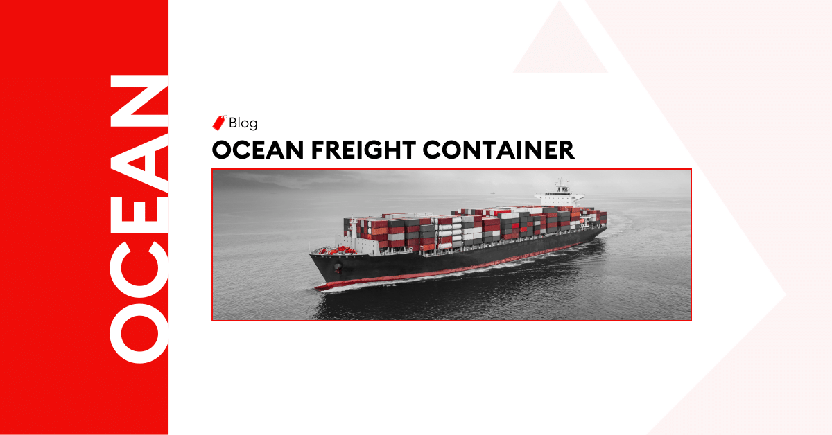 <strong>Everything You Need to Know About Shipping Containers in Ocean Freight</strong> 
