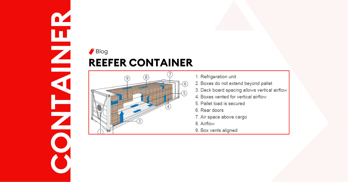 The Complete Guide To Reefer Container – Types, Specifications & Sizes