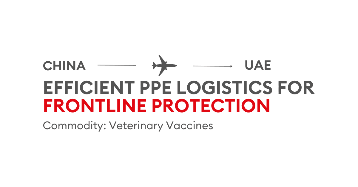 Delivery from China to UAE