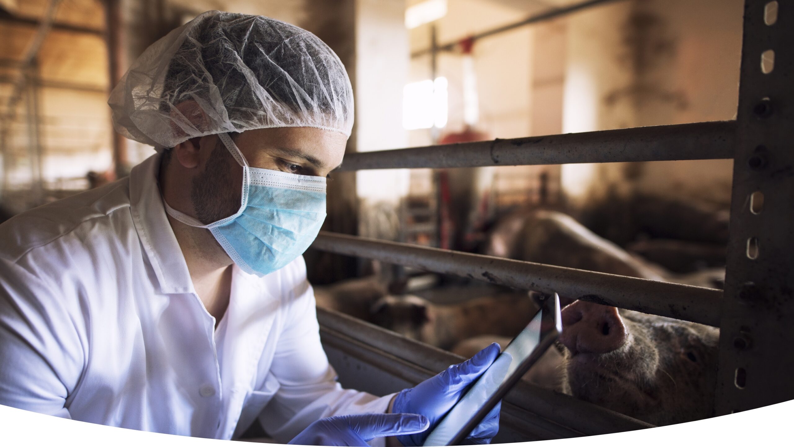 Veterinary vaccine shipments