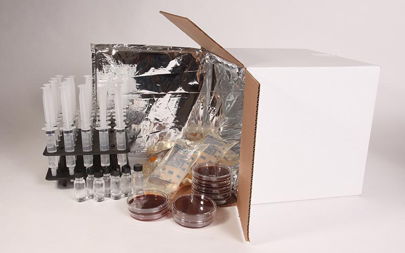 medicines from the UAE to Saudi Arabia
