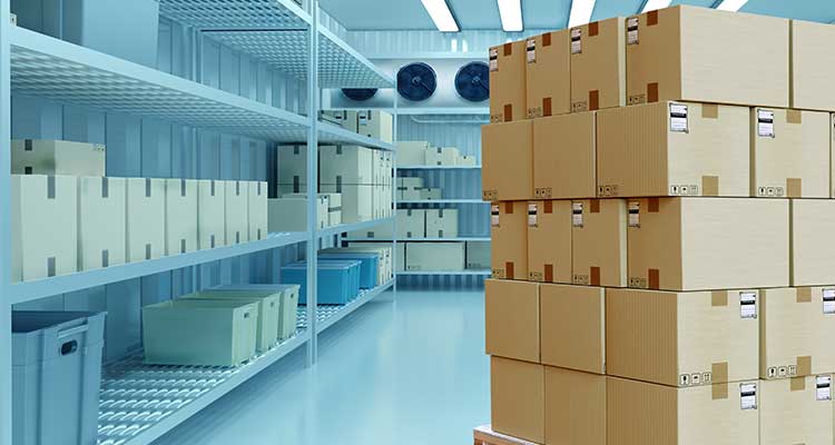 sensitive pharmaceutical products from the UAE to South Africa